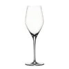 Libbey Spiegelau 4408029 Authentis 9.25 Ounce Champagne Flute Glass - 12 / CS -Libbey Shop 6042022