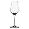 Libbey Spiegelau 4408030 Authentis 5.75 Ounce Digestive Glass - 12 / CS -Libbey Shop 6042024